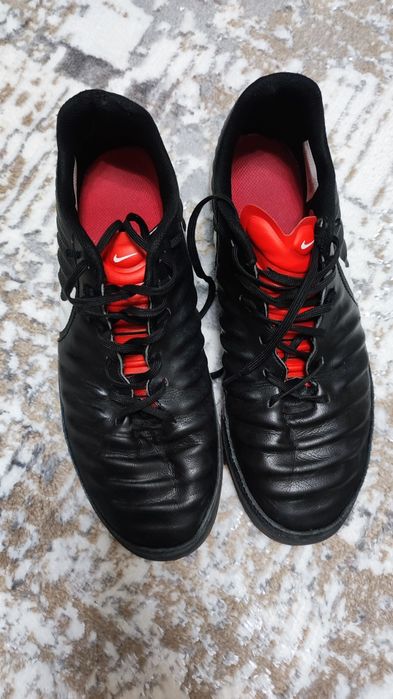 Продам сороконожки 10000