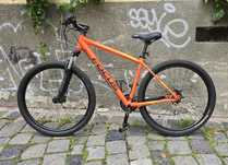MTB Focus whistler 29"