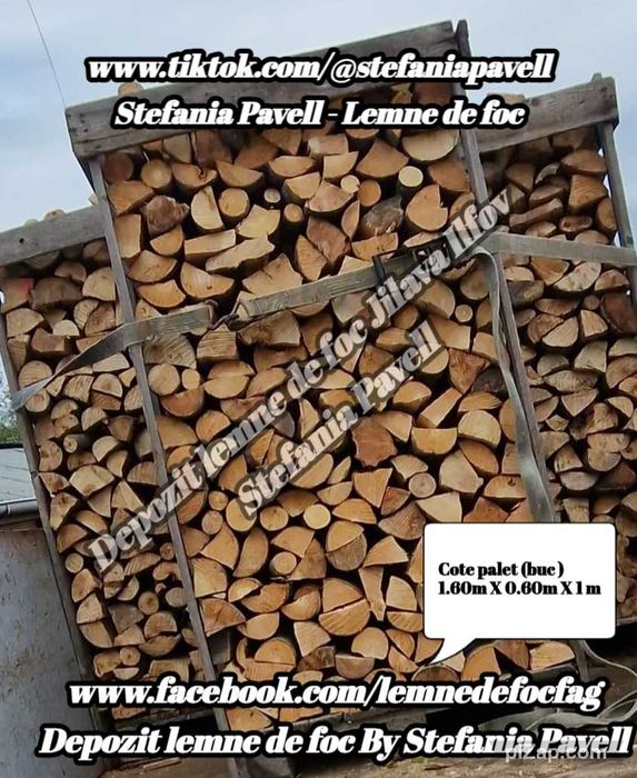 Lemne de foc fag pentru centrale, seminee , sobe si cuptoare pizza