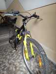 Bicicleta băieți fete
