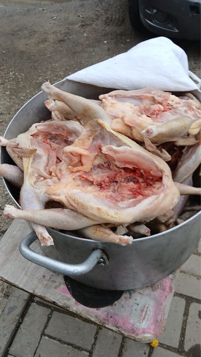 Продам тушки домашней курицы