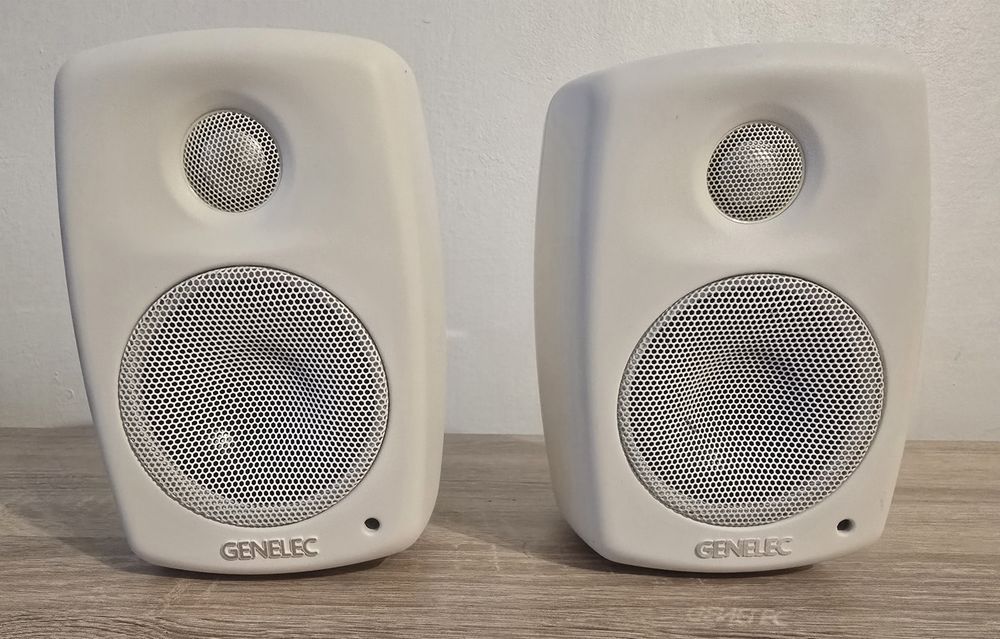 Monitoare audio Genelec 6010B