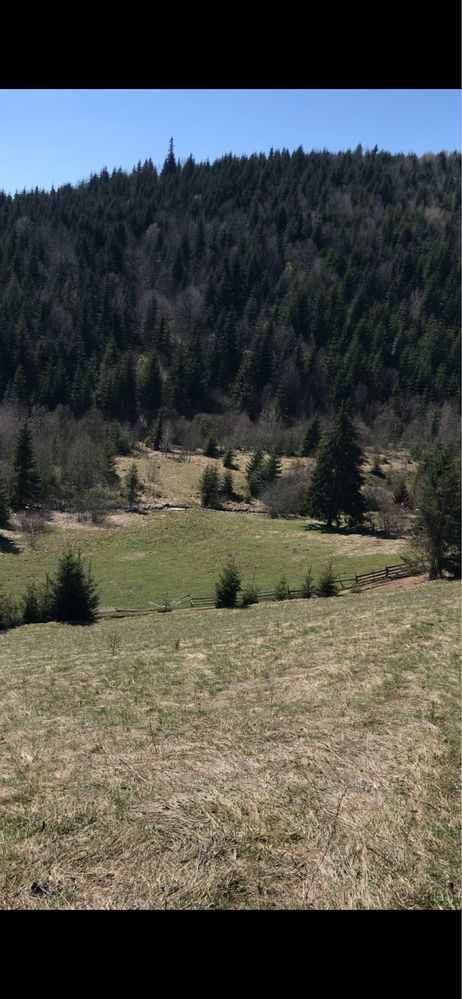 teren de vanzare in Statiunea Muntele Baisoarii