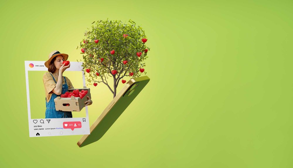 Pentru cei care stiu ce vor, realizam site-uri online si publicitate