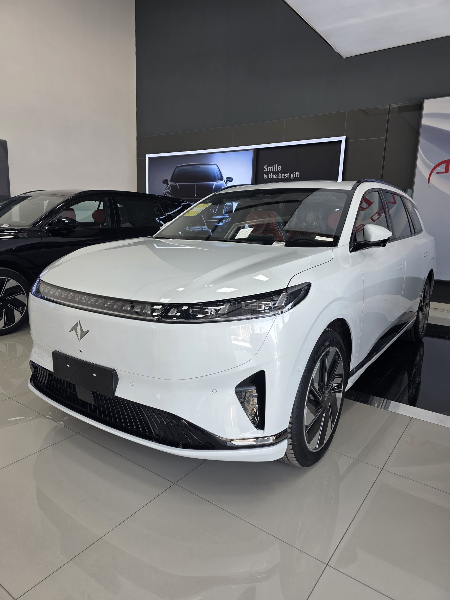 Dongfeng eπ 008 210