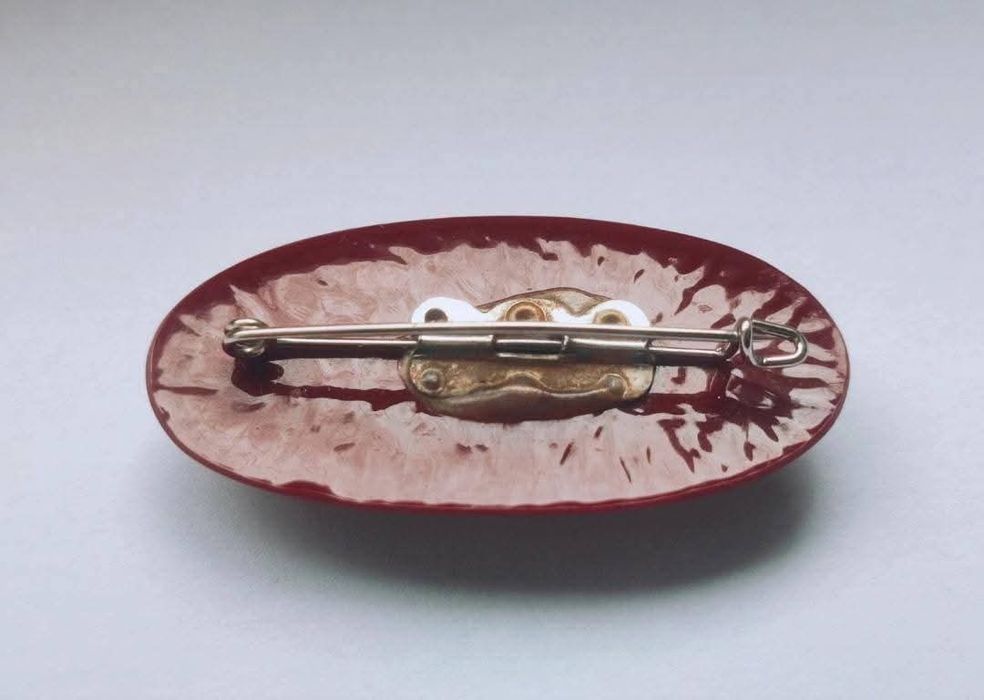 Veche brose din rasina cu flori