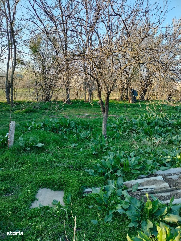 vand casa jud Giurgiu, com Stanesti, sat Oncesti,