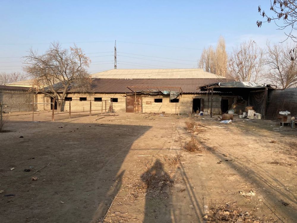 Участок Бордонкуль