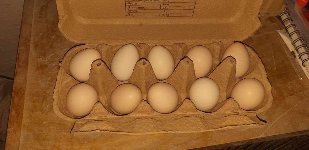 Ouă de Găini Chabo
