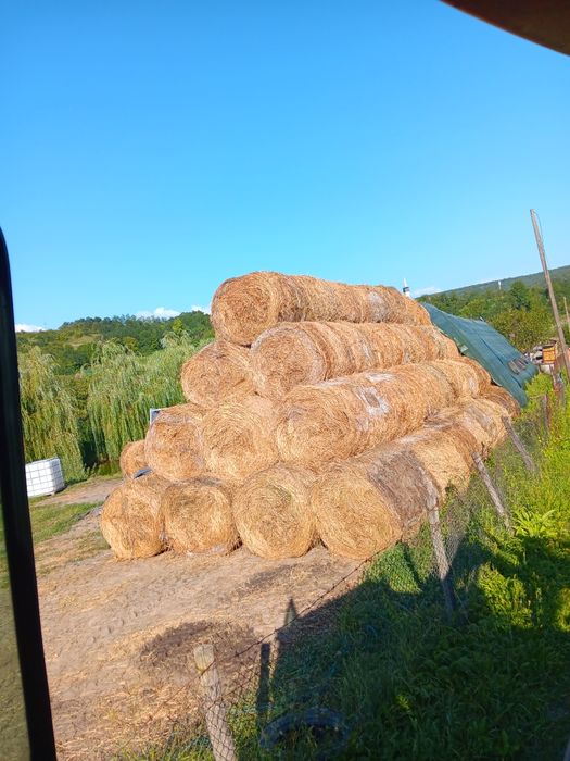 Baloți rotunzi de lucernă 120/120
