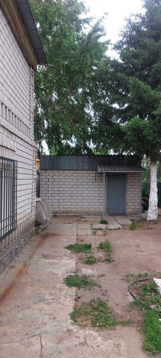 Продам дои в садоводстве Иртыш