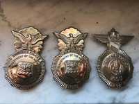 Set de doua insigne,metalice,American air security police