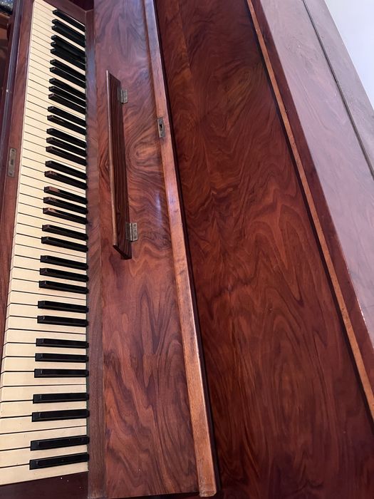 Фортепиано. Импорт. Ограниченный выпуск