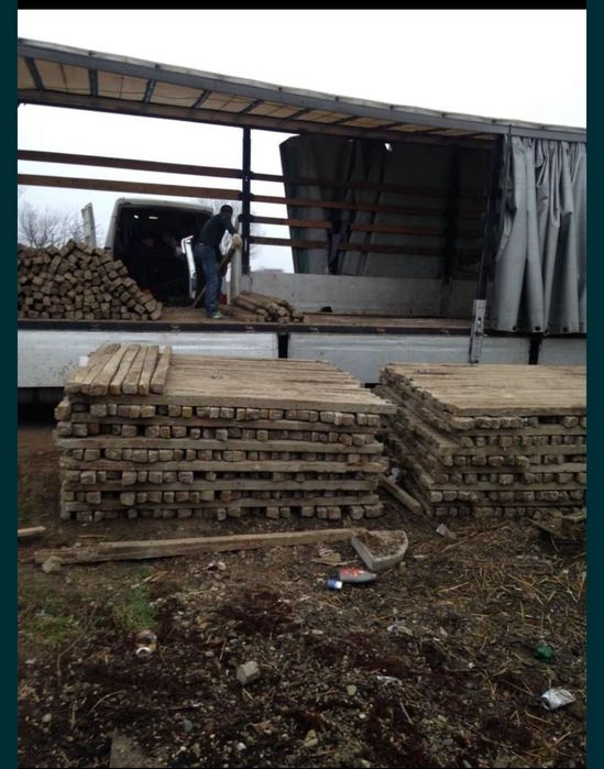 Spalieri de vie de gard din defisari