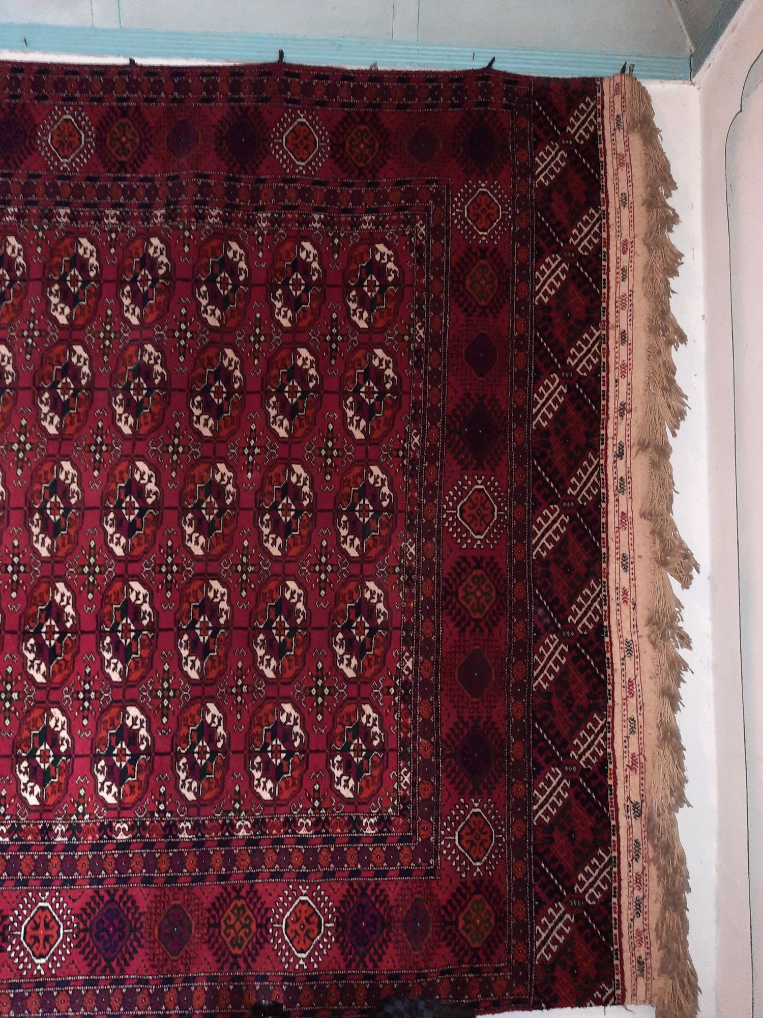 Turkman gilam ковров