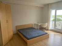 Inchiriere apartament 1 camera/Cosmopolis -Ilfov