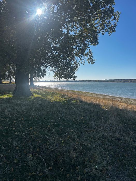 Teren direct la Dunăre