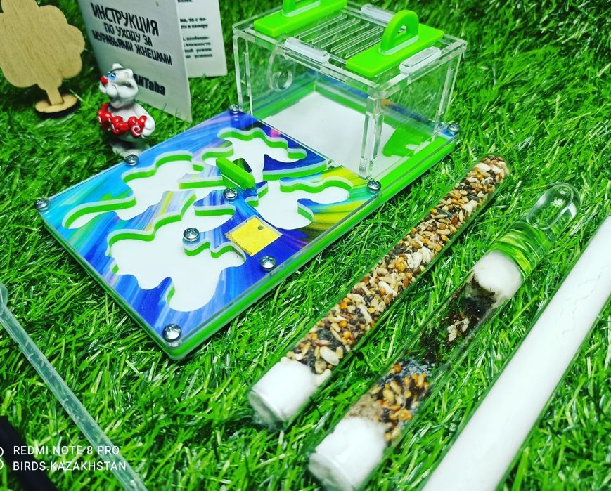 Ферма + Муравьи + корм. В АЛМАТЫ