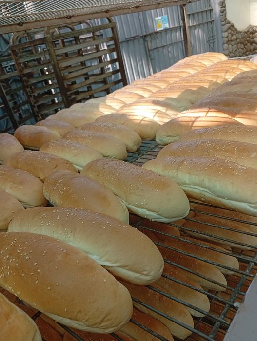 Hoddog va gamburger nonlari sifatli mahsulotlar hammasi bizda mavjud