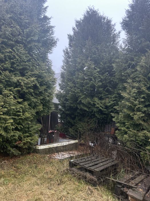 Inchiriez casa de revelion in Belis