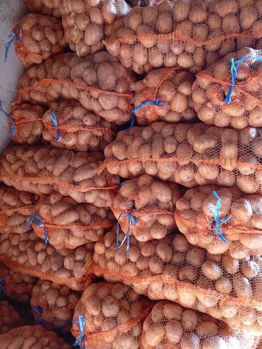 Cartfi alb de consum