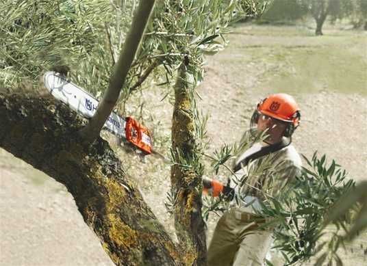 Высоторез бензиновый Husqvarna 525PT5S Швеция (бензопила,Stihl,Bosch)