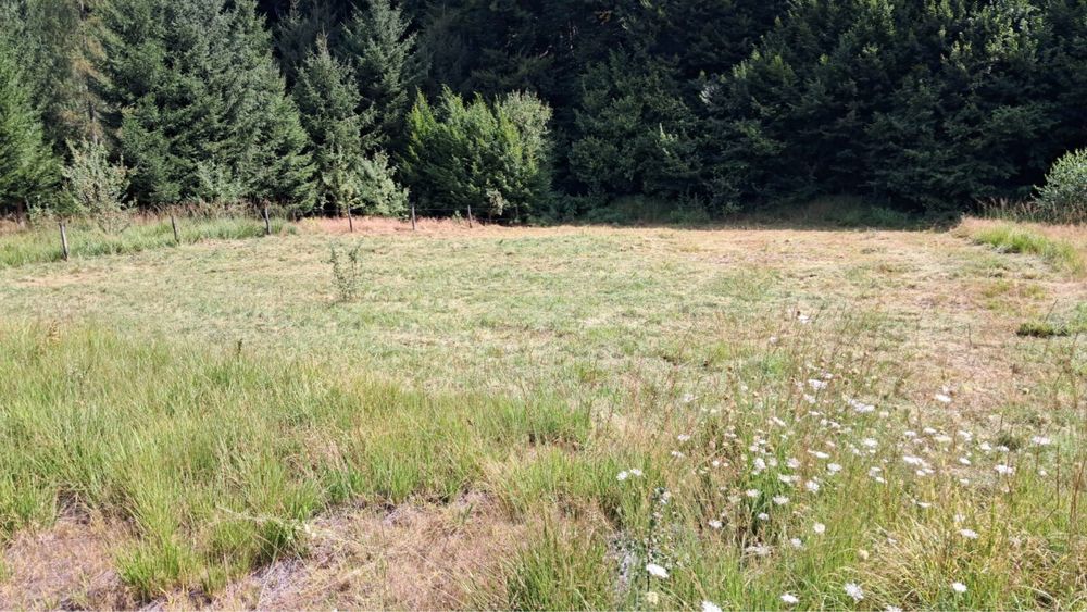 Coada Lacului jud.Bihor 2 parcele teren intravilan pt Cabana