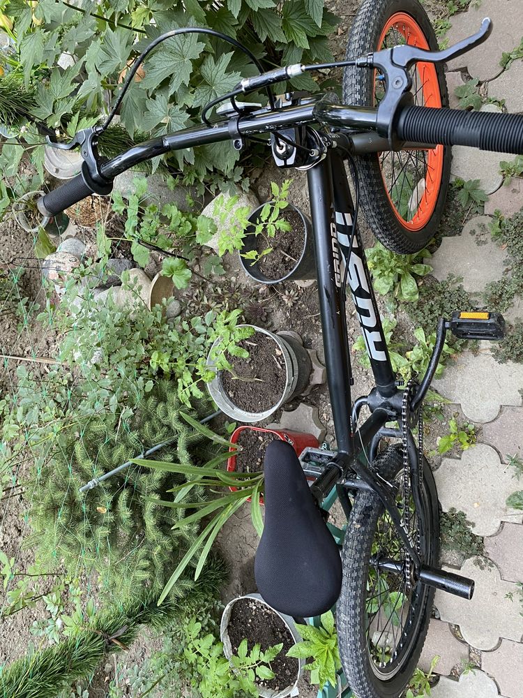 Bmx Grind           2