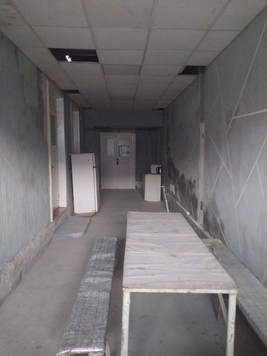 Аренда г.Чирчик озочик