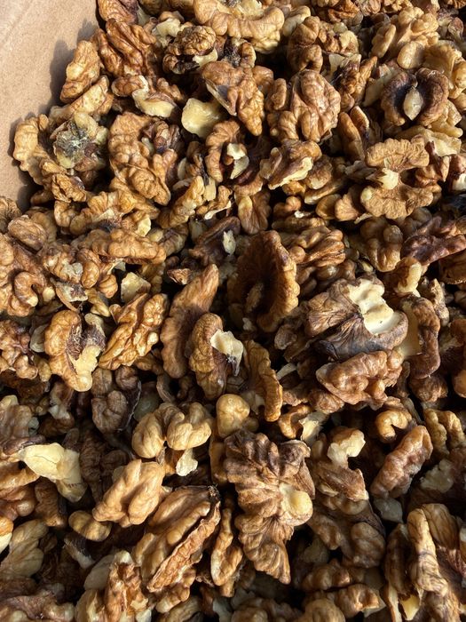 Miez de Nuca Maro, cafeniu, Pasha & Walnuts