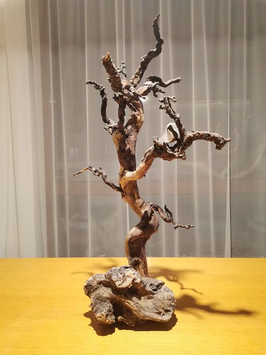 Арт корени, декорция