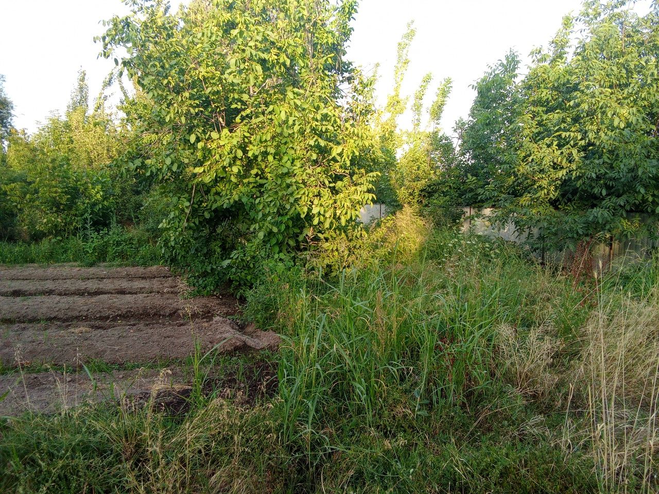 17.5sotix yer. Toshkent viloyati Boʻstonliq tumani Tovoqsoy qishloği.