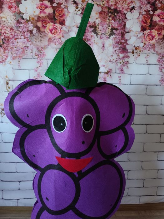 Costum Strugure serbare carnaval Toamna