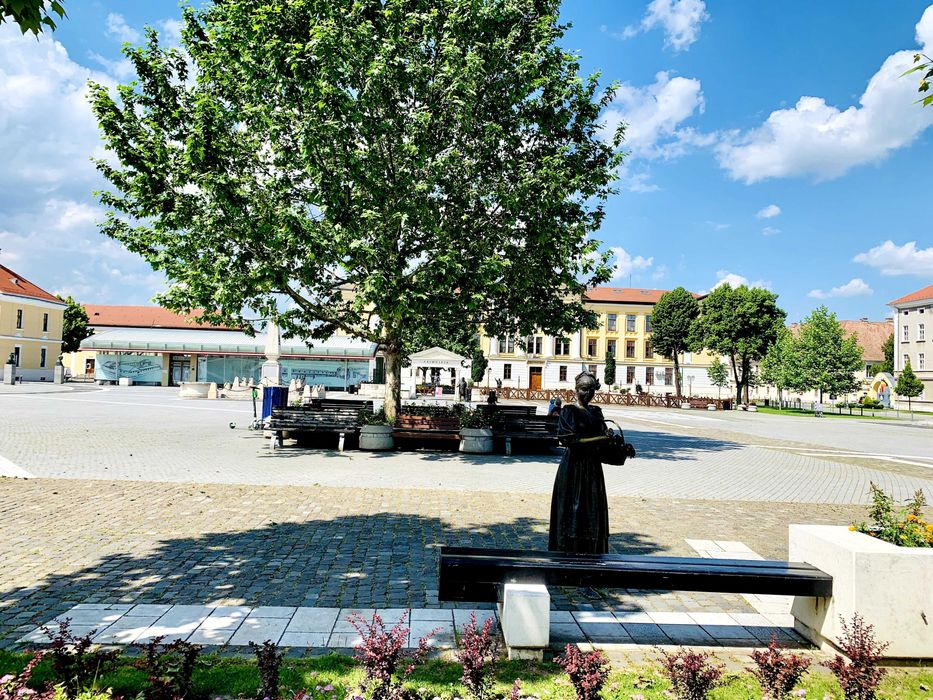 Teren de casă, pensiune, restaurant, birouri in Alba Iulia