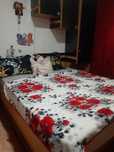 Vand Apartament decomandat! Cautam agent pentru colaborare.