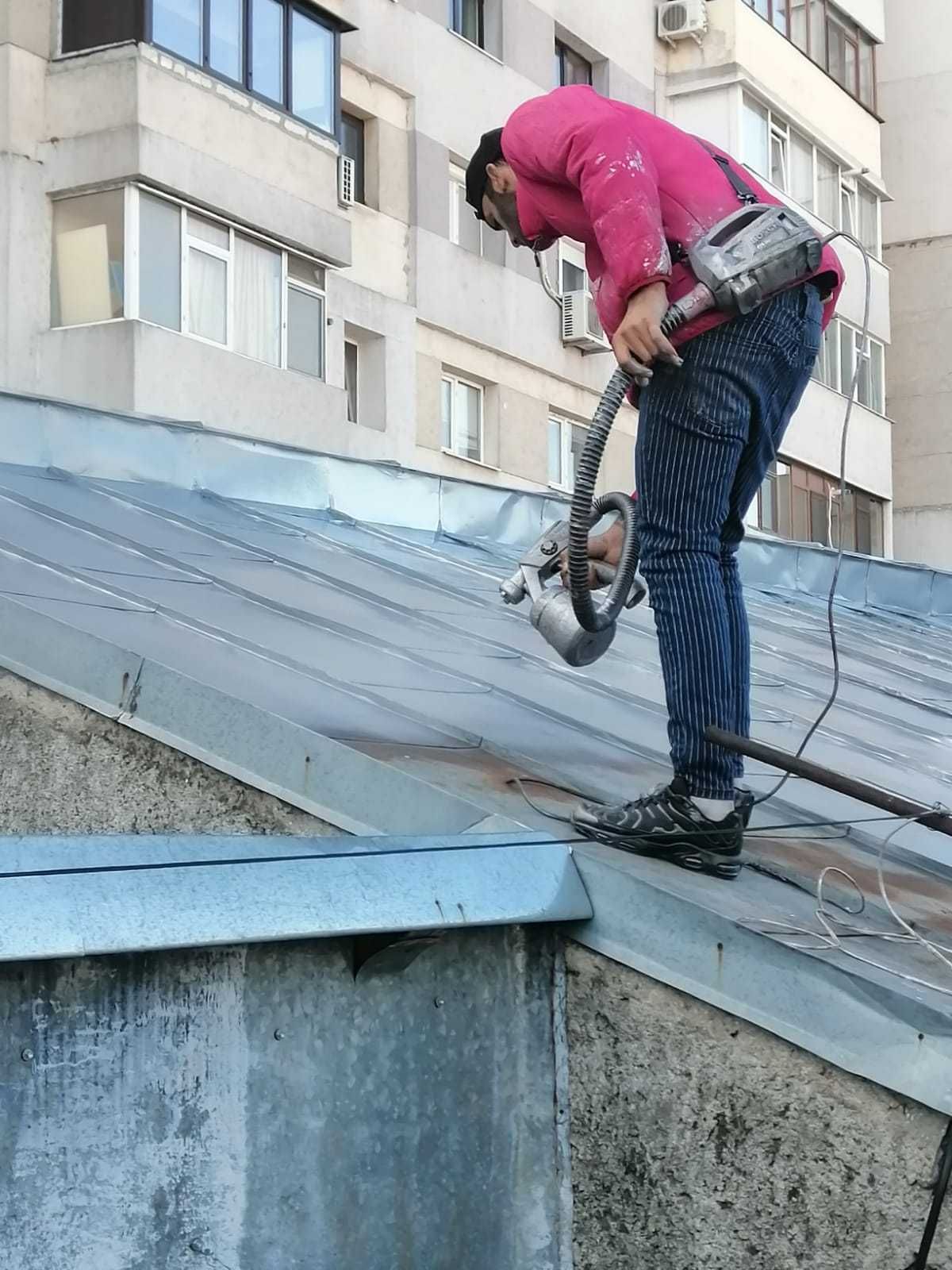 Vopsim orice tip de tabla pe casa, garduri, porti si alte suprafete