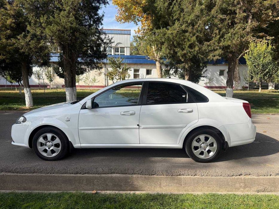 Жентра 2019 йил тоза