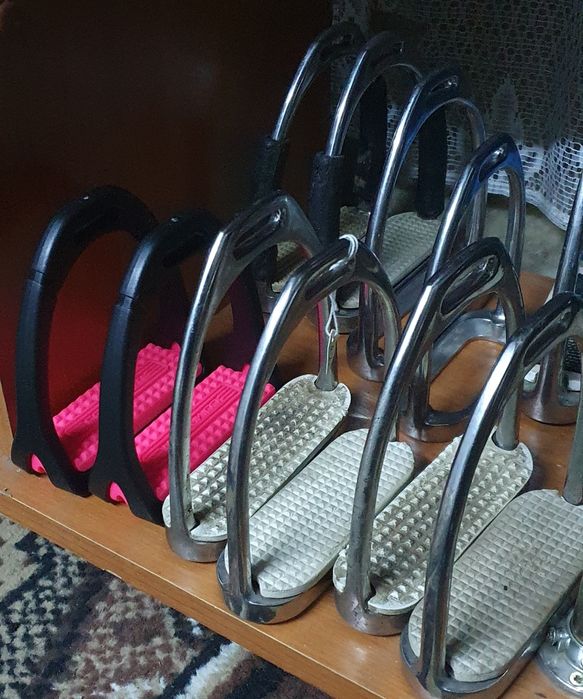 Scarite sa sea calarie echitație