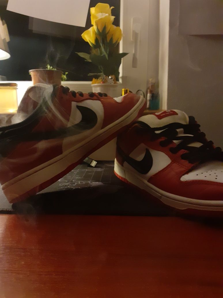 Nike dunk sb low pro chicago