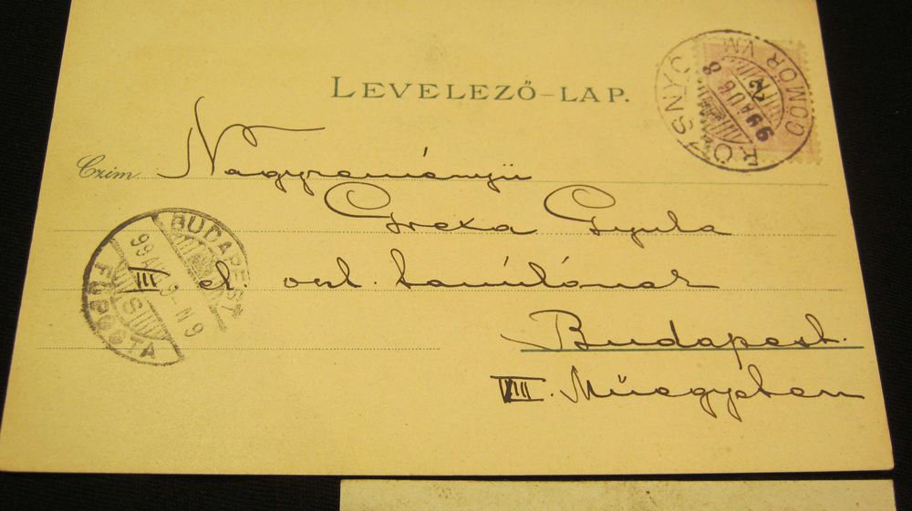 Ilustrata,Carte Postala,Litografie,Bancnota 20 Pengo,ROZSNYO 1899