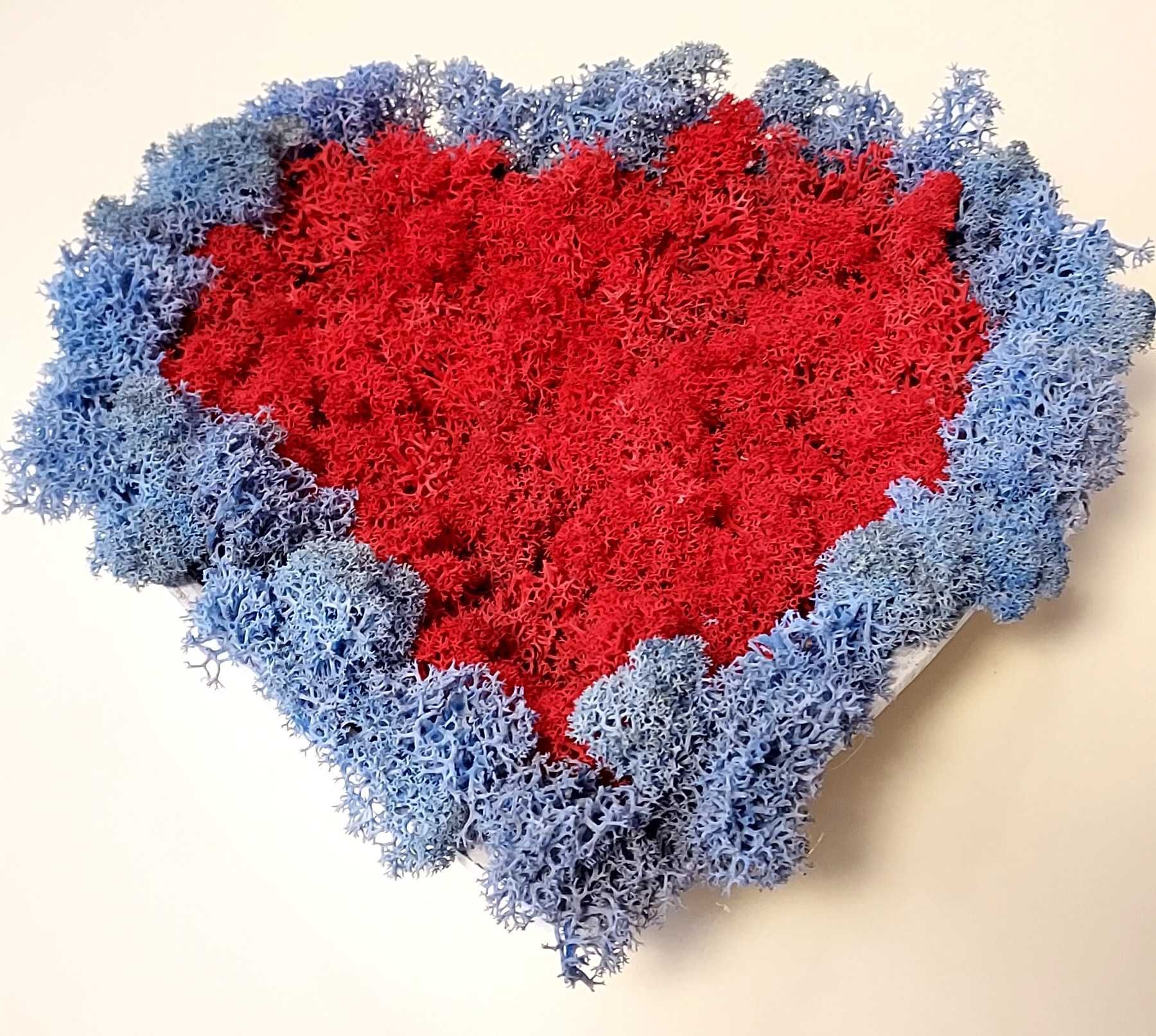 Inima cu licheni decorativi conservati