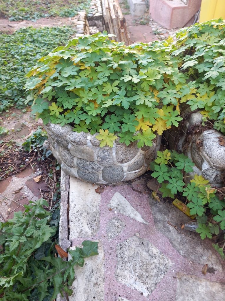 Каменни  корита и маса