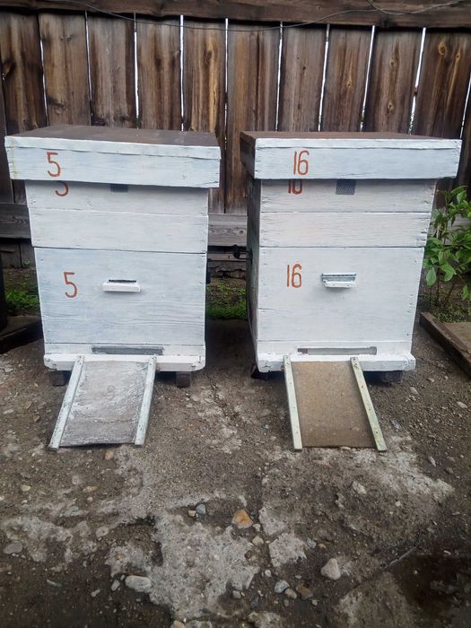 12 рамочные улья для пчел
