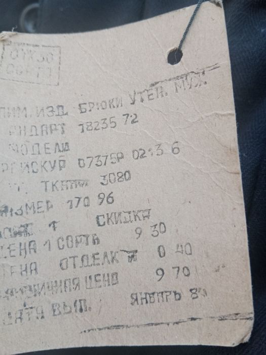 Брюки утеплённые мужские