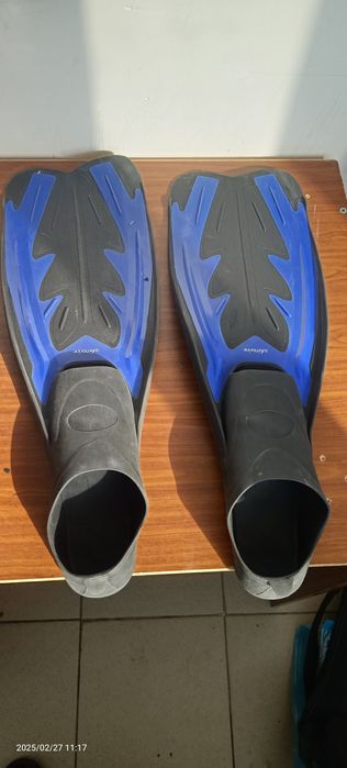 Ластый для плавание