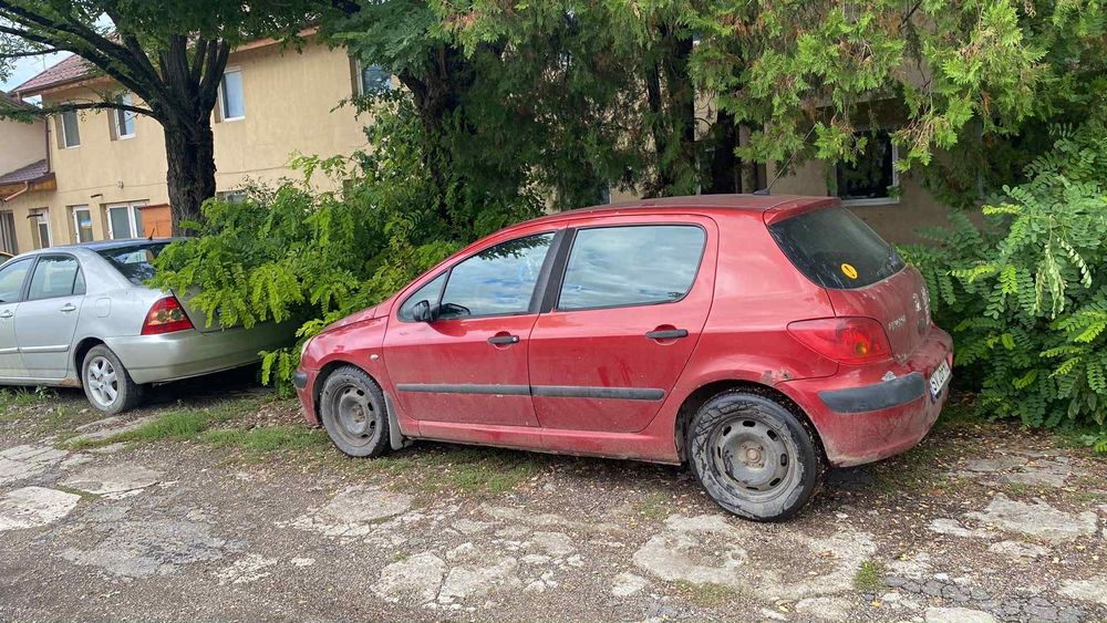 Vănd  Pejou 307 2.0