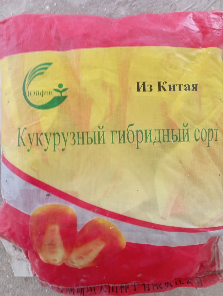Makkajoxori doni