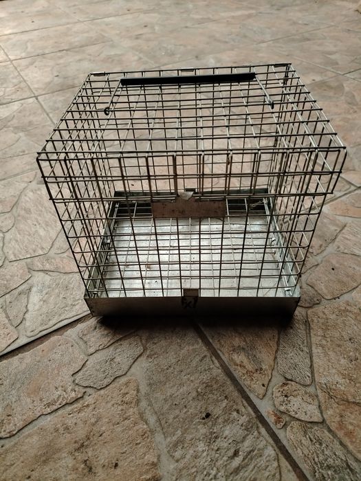 Colivie pentru transportul animalelor mici