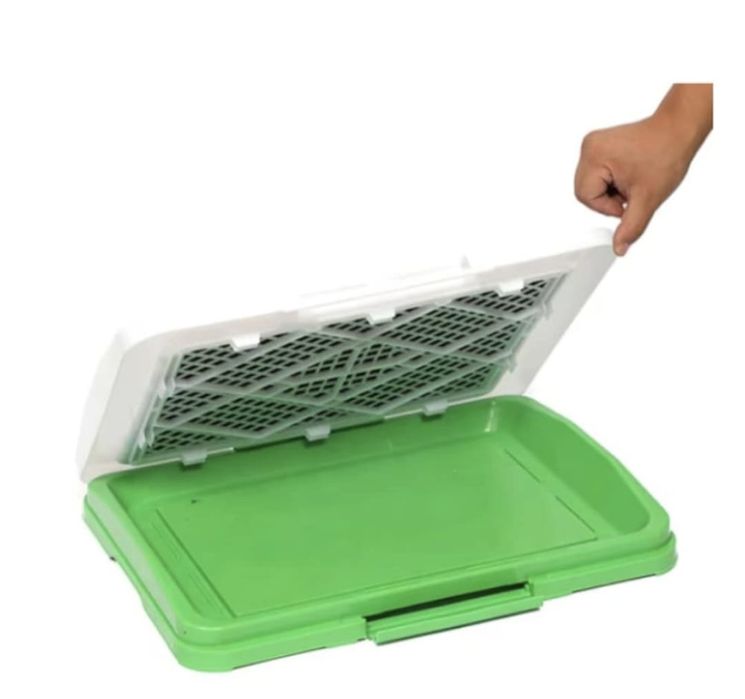 Litiera căței de talie mica