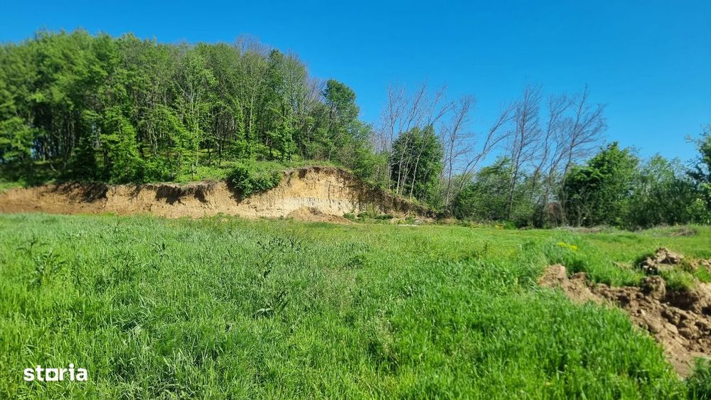 Vand teren intravilan Bascov, pozitie superba, langa padure